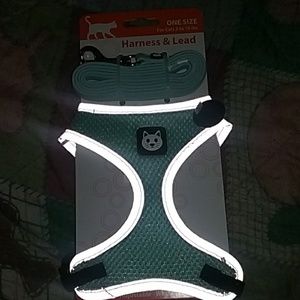 Cat harness and leash